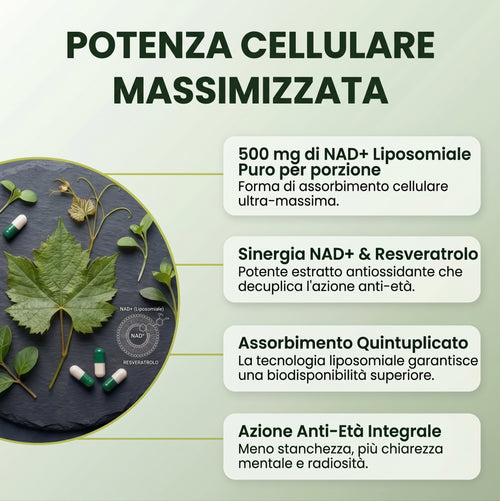 NAD+ Avanzato | Formula Anti-Età