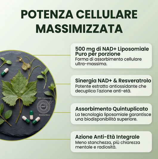 NAD+ Avanzato | Formula Anti-Età