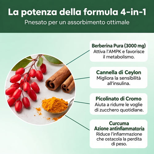 Berberina 4-in-1 | Metabolismo e Glicemia