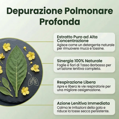 Estratto Puro di Verbasco | Formula Detox Polmonare